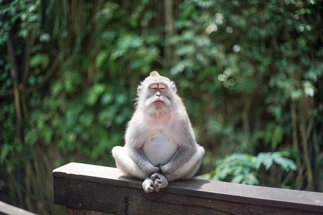 os principais erros na meditação e como corrigir