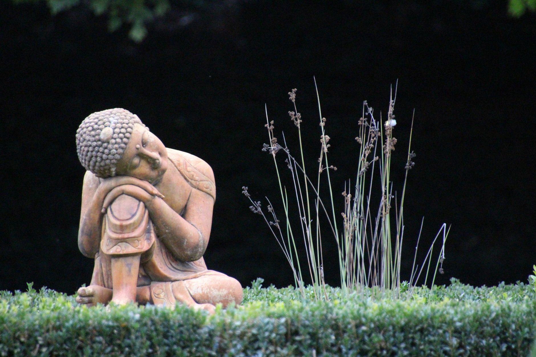 Meditação budista: guia de samatha, vipassana e zazen